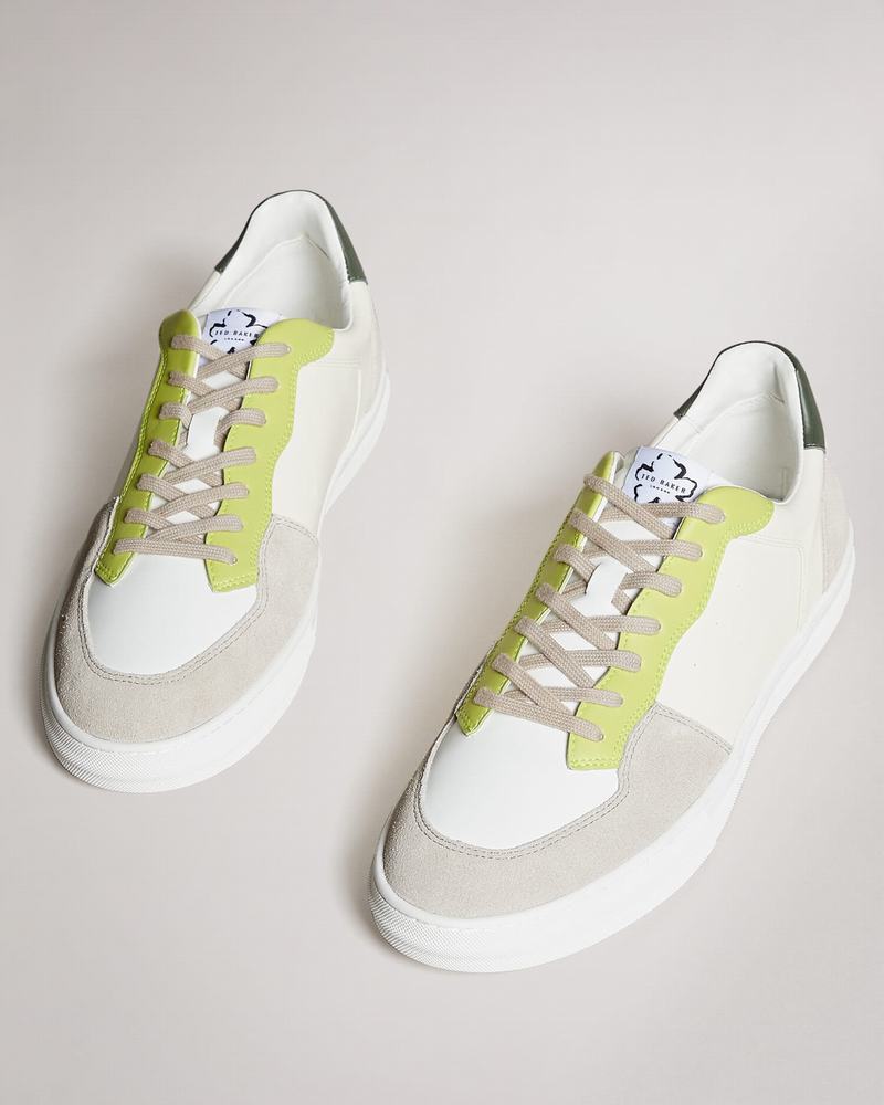 Baskets Ted Baker Brent Homme Vert Clair | VVE6875JU