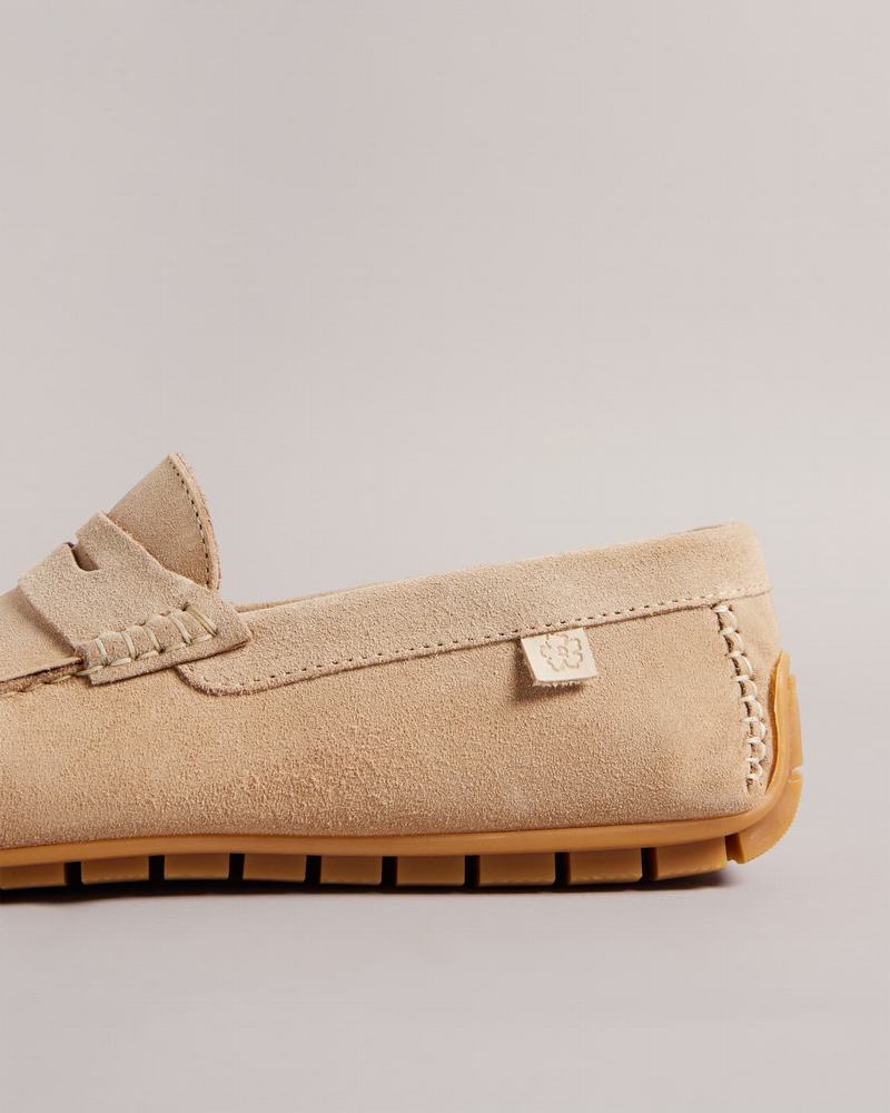 Mocassins Ted Baker Allbert Homme Beige | PWA6113VF